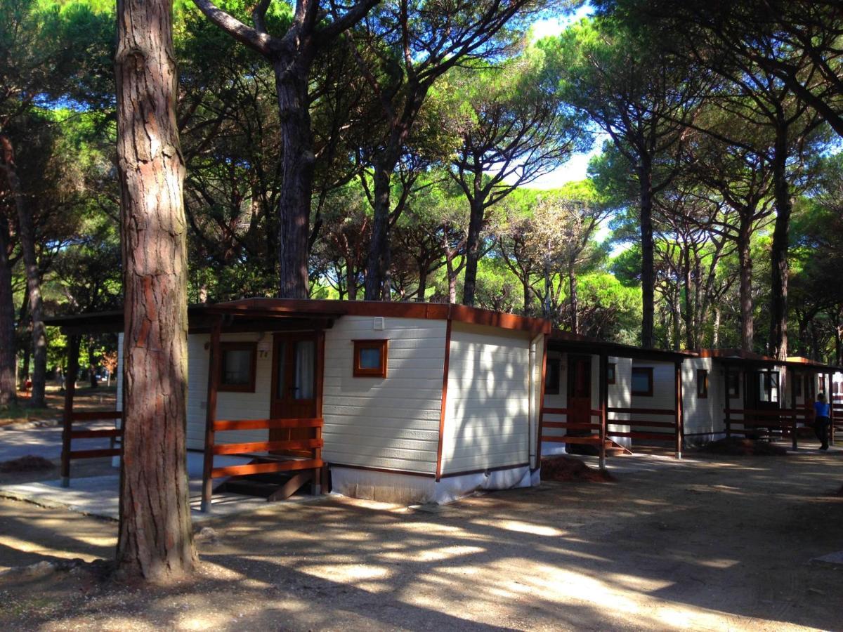 Buona Mobile Homes On Camping Mare E Pineta 리도 디 스피나 외부 사진
