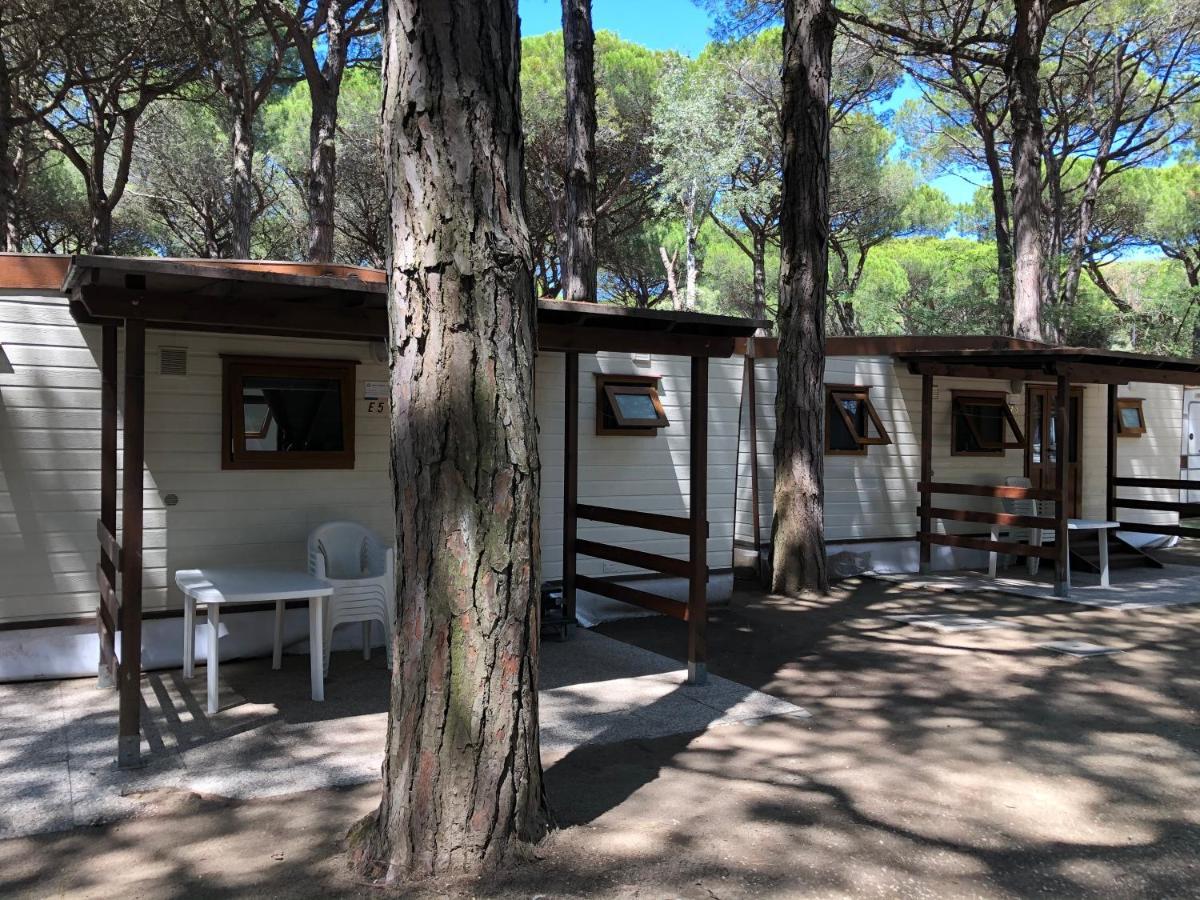 Buona Mobile Homes On Camping Mare E Pineta 리도 디 스피나 외부 사진